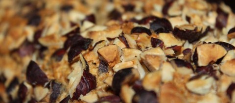 Hazelnut sponge cake