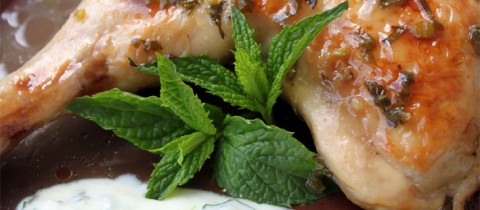 Mint roasted chicken with yogurt sauce
